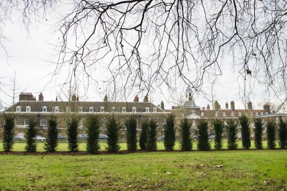 Une haie a été plantée le 30 janvier 2017 dans le parc du palais de Kensington à Londres pour renforcer l'intimité de ses occupants, dont les Cambridge.