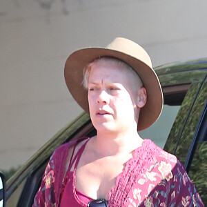La chanteuse Pink, sans maquillage, dépose son chien chez le vétérinaire à Santa Barbara le 10 octobre 2015.