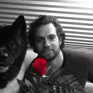 Henry Cavill pose avec son chien, Kal-El, un sublime akita.