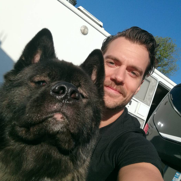 Henry Cavill pose avec son chien, Kal-El, un sublime akita.