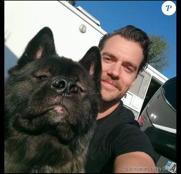 Henry Cavill pose avec son chien, Kal-El, un sublime akita.