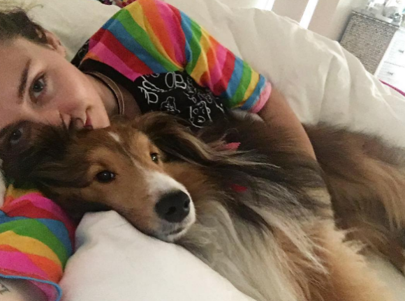 Miley Cyrus a publié une photo d'elle et son chien Emu sur sa page Instagram au mois de mars 2017