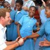 Le prince Harry en visite au Lesotho en février 2013.