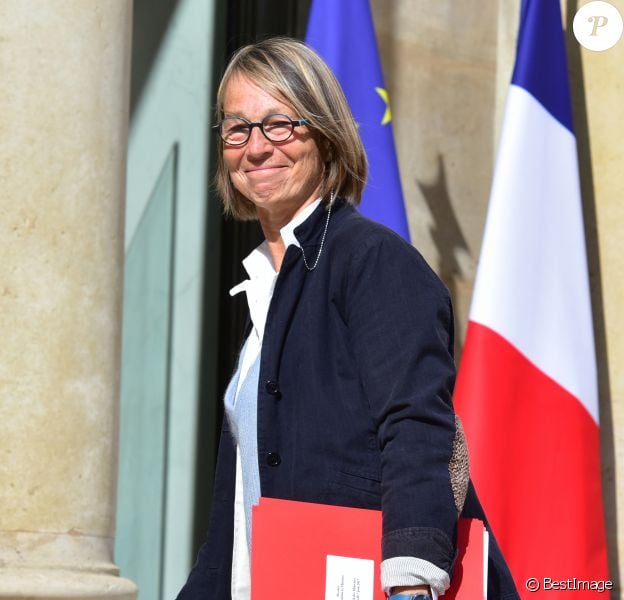 Françoise Nyssen - Arrivées au conseil de défense et au conseil des ministres au palais de l'Elysée à Paris. Le 7 juin 2017 © Giancarlo Gorassini / Bestimage