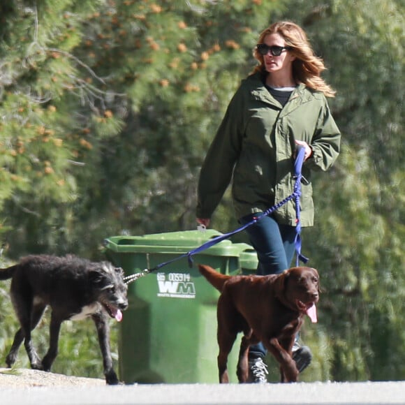 Julia Roberts promène ses chiens dans les rues de Malibu, le 7 mars 2017