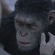 Image du film La Planète des singes - Suprématie, en salles le 2 août 2017