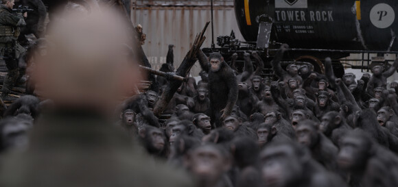 Image du film La Planète des singes - Suprématie, en salles le 2 août 2017