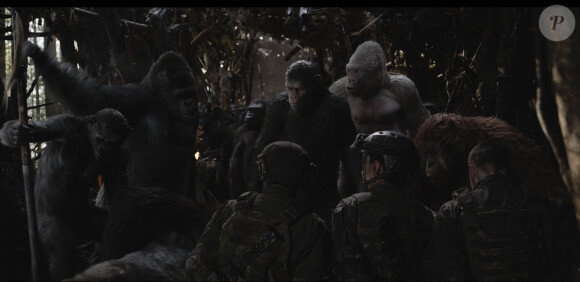 Image du film La Planète des singes - Suprématie, en salles le 2 août 2017