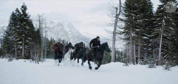 Image du film La Planète des singes - Suprématie, en salles le 2 août 2017
