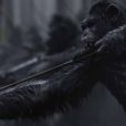 Image du film La Planète des singes - Suprématie, en salles le 2 août 2017