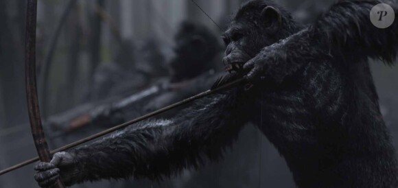 Image du film La Planète des singes - Suprématie, en salles le 2 août 2017