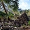Exclusif - Le déblayage et les réparations des dégâts ont commencés après le passage de l'ouragan Irma à Fort Lauderdale en Floride, le 11 septembre 2017
