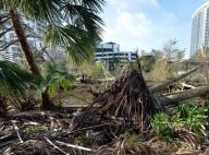 Ouragan Irma : La maison des Hallyday à Saint-Barthélémy est inhabitable
