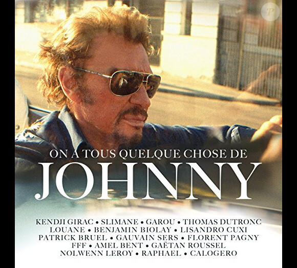 L'album de reprises "On a tous quelque chose de Johnny" sort le 17 novembre 2017.