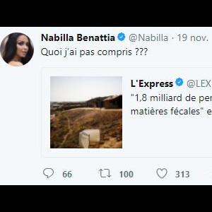 Compilation des meilleurs tweets de Nabilla en 2017.