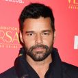 Ricky Martin - Première d la série "The Assassination Of Gianni Versace: American Crime Story" à Los Angeles, Californie, Etats-Unis, le 8 janvier 2018. © JLPPA/Bestimage