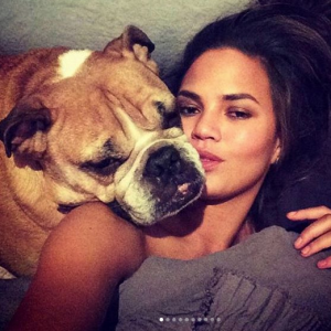 Chrissy Teigen annonce la mort de son bouledogue, Puddy. Mars 2018.