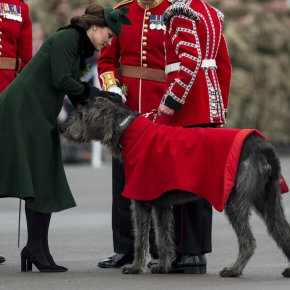 Le prince William, duc de Cambridge, colonel des Gardes irlandais et Catherine (Kate) Middleton, duchesse de Cambridge, enceinte, lors de la parade de la Saint Patrick à Houslow en présence du premier bataillon des gardes irlandais le 17 mars 2018. 