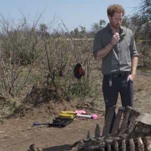 Le prince Harry visite une scène de crime avec une équipe médico-légale après qu'un rhinocéros a été tué par des braconniers dans le Parc national Kruger en Afrique du Sud le 2 décembre 2015.