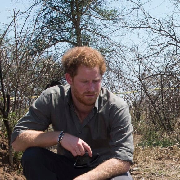 Le prince Harry visite une scène de crime avec une équipe médico-légale après qu'un rhinocéros a été tué par des braconniers dans le Parc national Kruger en Afrique du Sud le 2 décembre 2015.