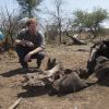 Le prince Harry visite une scène de crime avec une équipe médico-légale après qu'un rhinocéros a été tué par des braconniers dans le Parc national Kruger en Afrique du Sud le 2 décembre 2015.