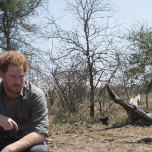 Le prince Harry visite une scène de crime avec une équipe médico-légale après qu'un rhinocéros a été tué par des braconniers dans le Parc national Kruger en Afrique du Sud le 2 décembre 2015.