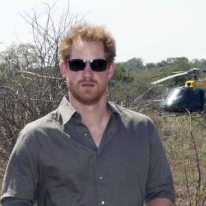 Le prince Harry visite une scène de crime avec une équipe médico-légale après qu'un rhinocéros a été tué par des braconniers dans le Parc national Kruger en Afrique du Sud le 2 décembre 2015.