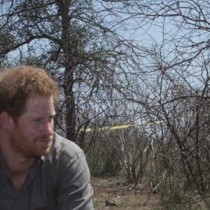 Le prince Harry visite une scène de crime avec une équipe médico-légale après qu'un rhinocéros a été tué par des braconniers dans le Parc national Kruger en Afrique du Sud le 2 décembre 2015.