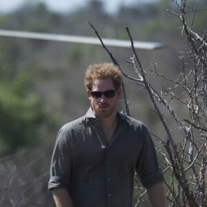 Le prince Harry dans le Parc national Kruger en Afrique du Sud le 2 décembre 2015.