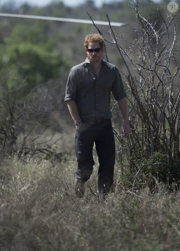 Le prince Harry dans le Parc national Kruger en Afrique du Sud le 2 décembre 2015.