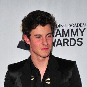 Shawn Mendes au gala "Clive Davis and Recording Academy Pre-Grammy and Salute to Industry Icons Honoring Jay-Z" à New York, le 27 janvier 2018.