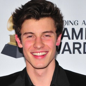 Shawn Mendes au gala "Clive Davis and Recording Academy Pre-Grammy and Salute to Industry Icons Honoring Jay-Z" à New York, le 27 janvier 2018.