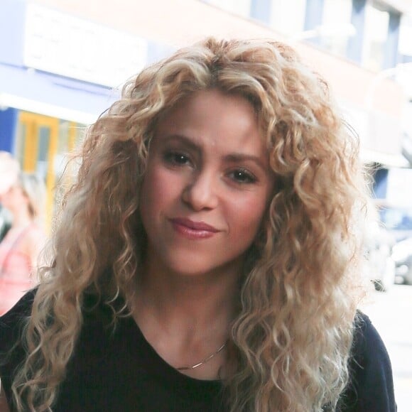 Shakira reçoit la visite de la police espagnole à son domicile à Barcelone le 25 janvier 2018.