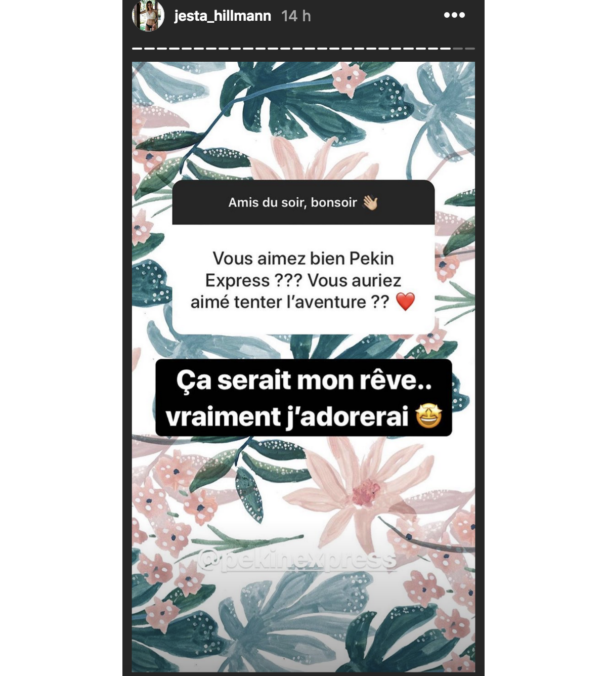 Photo Jesta Hilleman (KohLanta) répond aux questions des internautes
