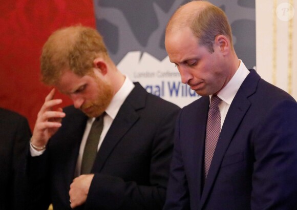 Le prince William, duc de Cambridge, et le prince Harry, duc de Sussex, réunis le 10 octobre 2018 à Londres lors de la conférence "2018 Illegal Wildlife Trade" au palais St James pour lutter contre le braconnage des espèces menacées.