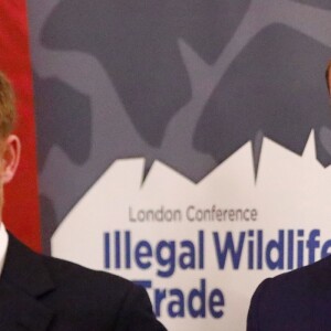 Le prince William, duc de Cambridge, et le prince Harry, duc de Sussex, réunis le 10 octobre 2018 à Londres lors de la conférence "2018 Illegal Wildlife Trade" au palais St James pour lutter contre le braconnage des espèces menacées.