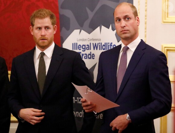 Le prince William, duc de Cambridge, et le prince Harry, duc de Sussex, réunis le 10 octobre 2018 à Londres lors de la conférence "2018 Illegal Wildlife Trade" au palais St James pour lutter contre le braconnage des espèces menacées.