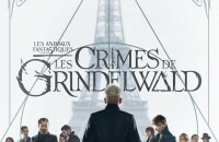 Bande-annonce du film Les Animaux Fantastiques : Les Crimes de Grindelwald