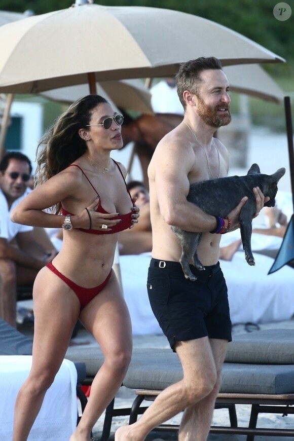 David Guetta et sa compagne Jessica Ledon, qui porte un diamant à l'annulaire gauche, passent du bon temps sur la plage en compagnie de leur petit chien. Miami, le 23 novembre 2018.