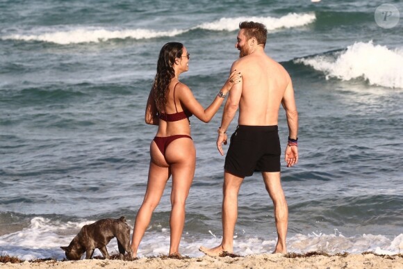 David Guetta et sa compagne Jessica Ledon, qui porte un diamant à l'annulaire gauche, passent du bon temps sur la plage en compagnie de leur petit chien. Miami, le 23 novembre 2018.