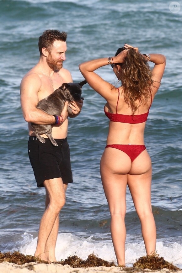 David Guetta et sa compagne Jessica Ledon, qui porte un diamant à l'annulaire gauche, passent du bon temps sur la plage en compagnie de leur petit chien. Miami, le 23 novembre 2018.