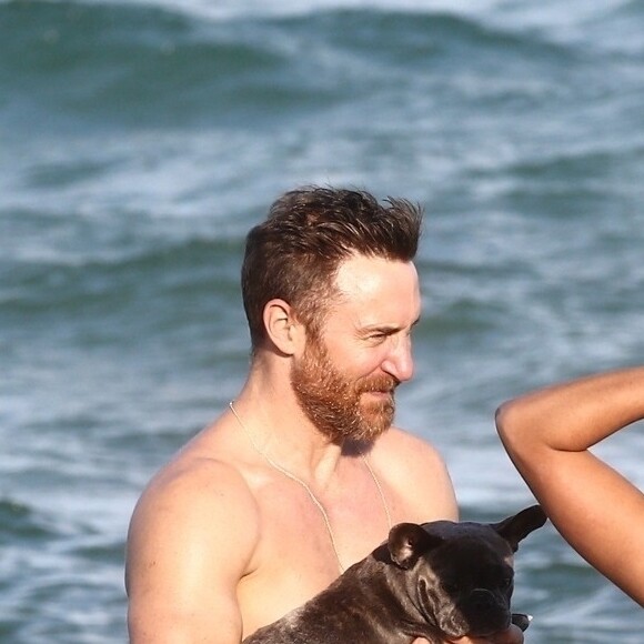 David Guetta et sa compagne Jessica Ledon, qui porte un diamant à l'annulaire gauche, passent du bon temps sur la plage en compagnie de leur petit chien. Miami, le 23 novembre 2018.