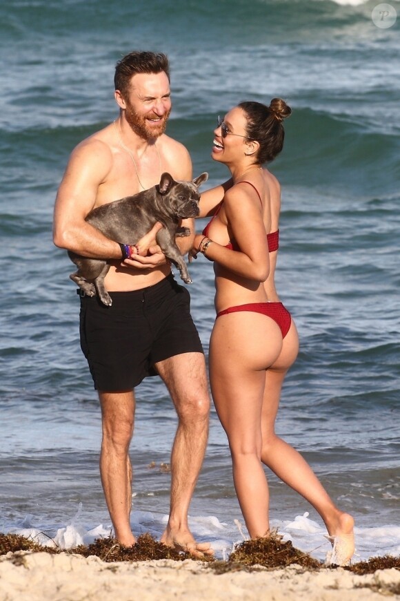David Guetta et sa compagne Jessica Ledon, qui porte un diamant à l'annulaire gauche, passent du bon temps sur la plage en compagnie de leur petit chien. Miami, le 23 novembre 2018.