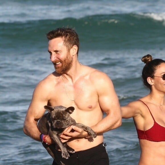 David Guetta et sa compagne Jessica Ledon, qui porte un diamant à l'annulaire gauche, passent du bon temps sur la plage en compagnie de leur petit chien. Miami, le 23 novembre 2018.