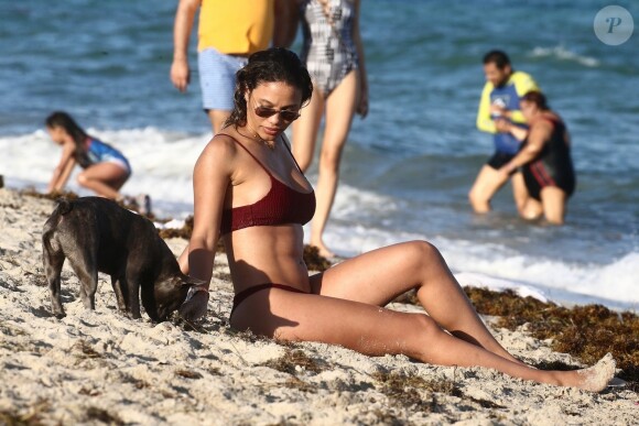 David Guetta et sa compagne Jessica Ledon, qui porte un diamant à l'annulaire gauche, passent du bon temps sur la plage en compagnie de leur petit chien. Miami, le 23 novembre 2018.