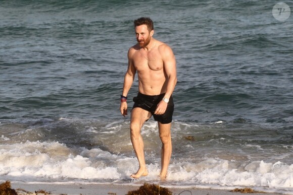 David Guetta et sa compagne Jessica Ledon, qui porte un diamant à l'annulaire gauche, passent du bon temps sur la plage en compagnie de leur petit chien. Miami, le 23 novembre 2018.