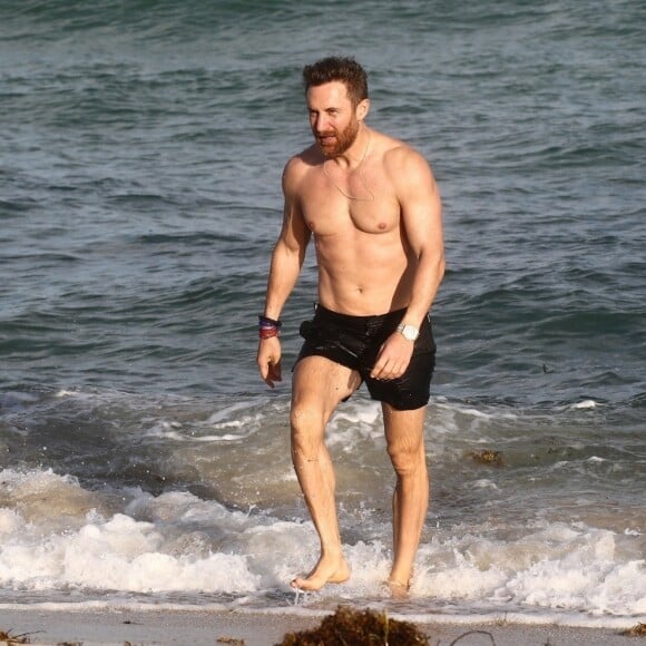 David Guetta et sa compagne Jessica Ledon, qui porte un diamant à l'annulaire gauche, passent du bon temps sur la plage en compagnie de leur petit chien. Miami, le 23 novembre 2018.