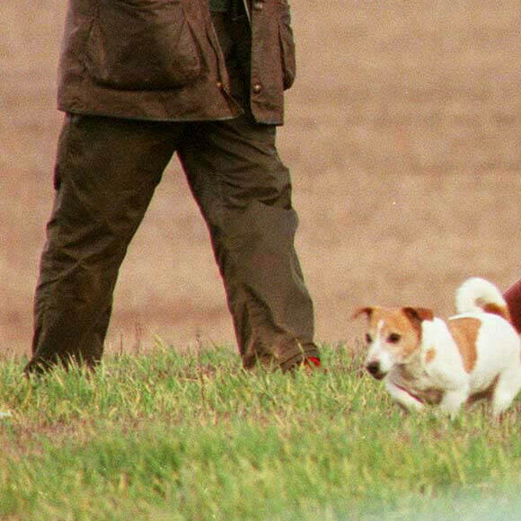 Le prince Charles en pleine partie de chasse à Sandringham, en 1995.