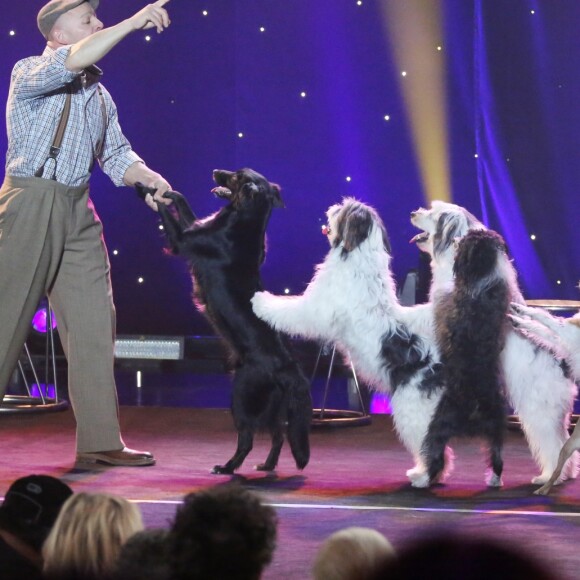 Exclusif - Wolfgang Lauenburger, dressage de chiens - Enregistrement de l'émission "Le grand cabaret sur son 31" à La Plaine Saint-Denis le 30 octobre 2018. Diffusion le 31 décembre 2018 sur France 2. © Bahi / Bestimage