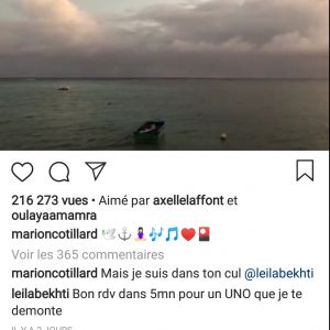 Capture d'écran de l'Instagram de Marion Cotillard, le 2 janvier 2018.